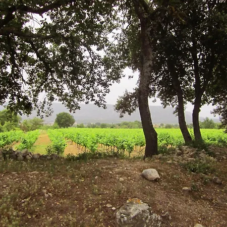 Alloggio in famiglia Maison D'art Et De Nature - Luberon Et Alpilles *